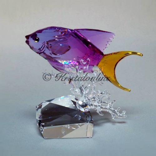 Swarovski Kristal | Crystal Paradise | Anthias Vis - Zeebaars | 5428651